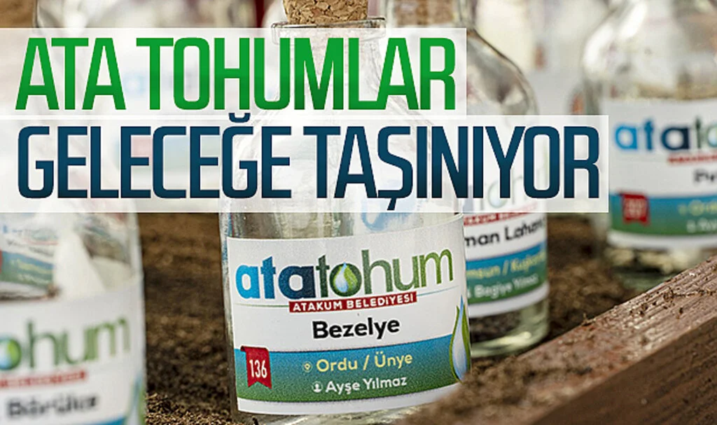 Ata tohumlar, Atakum’dan geleceğe taşınıyor
