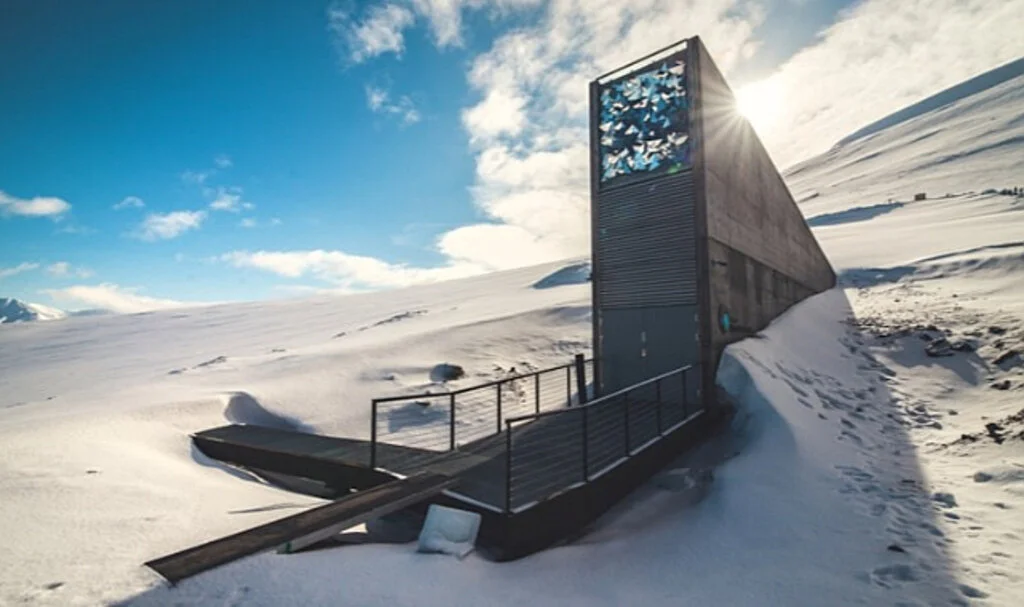 Dünya'nın Besin Kasası Svalbard'a Yeni Numune Eklendi: İşte Detaylar