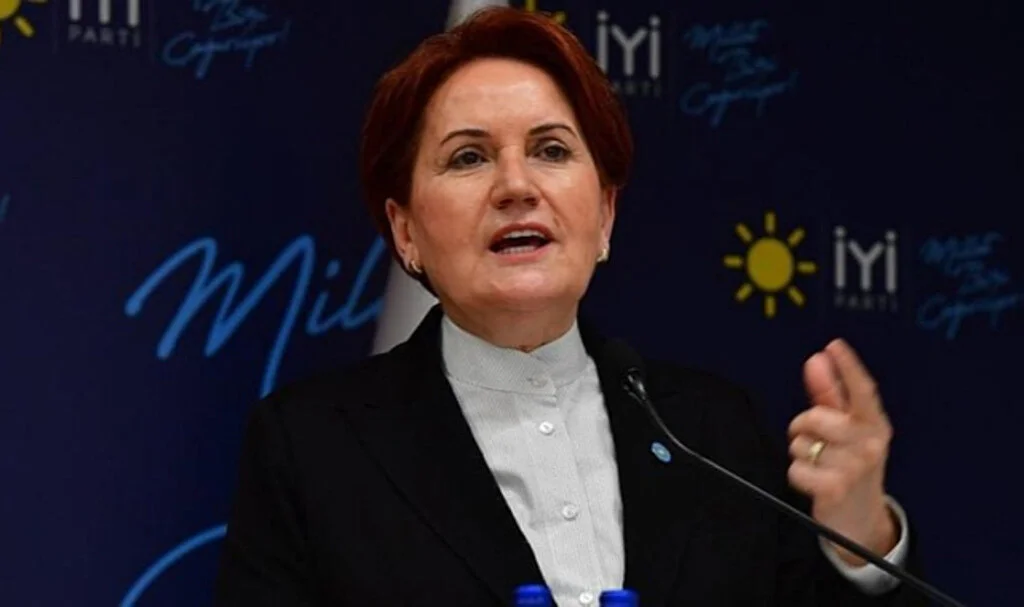 İYİ Parti Genel Başkanı Meral Akşener: İspat eden olursa Türkiye'yi terk ederim