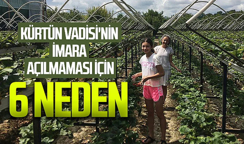 Kürtün Vadisi'nin imara açılmaması için 6 neden