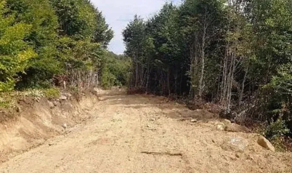 Orman Yolu Yapım İşi Yaptırılacaktır