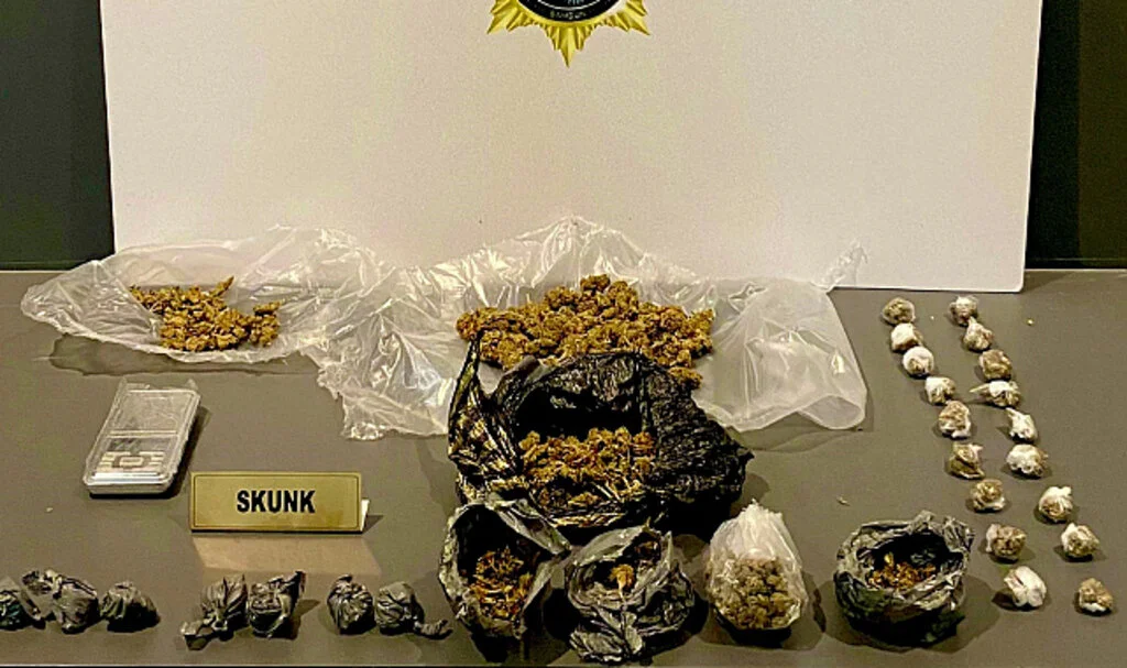 Samsun'da narkotik uygulaması: 31 kişi yakalandı