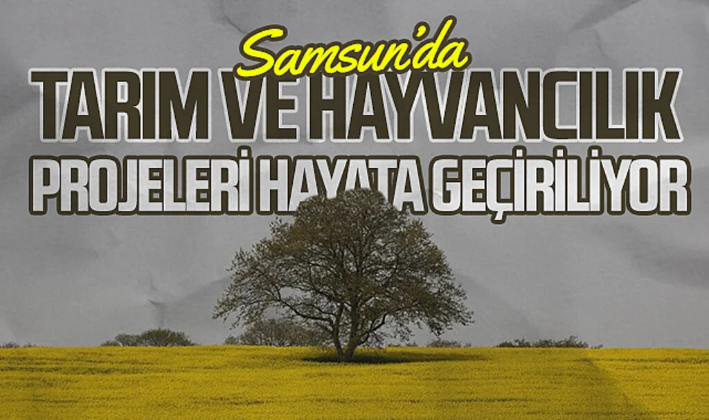 Samsun’da tarım ve hayvancılık projeleri hayata geçiriliyor