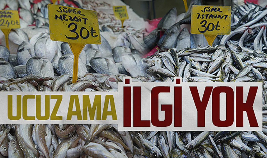 Samsun'da Ucuz Balığa Talep Yok: Sıcak Hava Satışları Düşürdü
