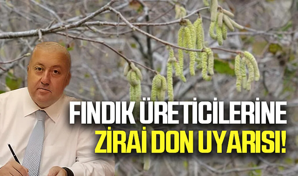 Çarşamba Ticaret Borsası Yönetim Kurulu Başkanı Kazım Yılmaz: Fındık Üreticilerine Zirai Don Uyarısı!