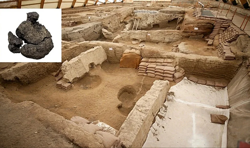 Dünyanın En Eski Ekmeği, Çatalhöyük Kazısında Bulundu