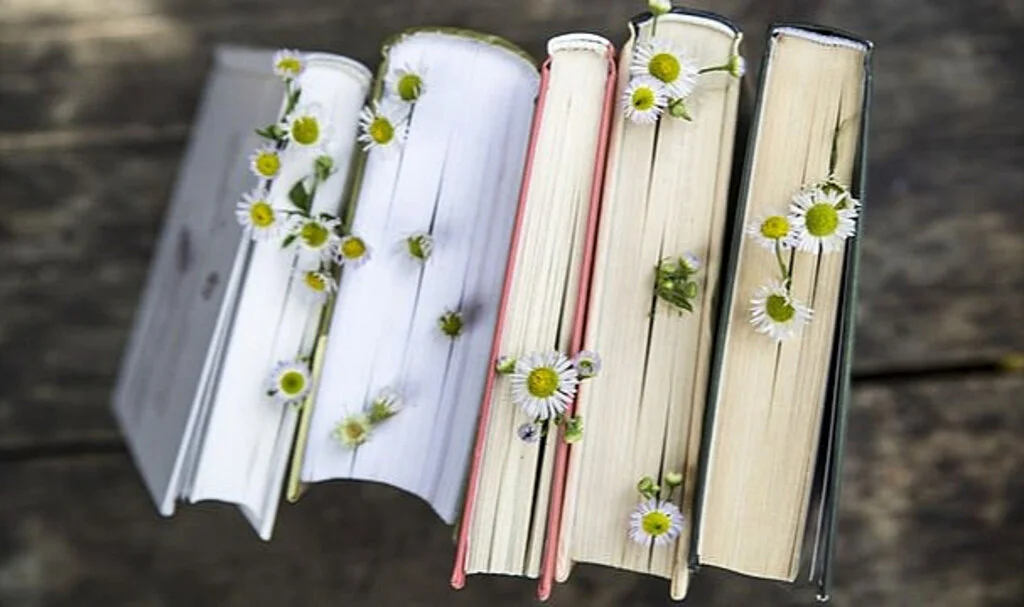 Kitap Okuma Alışkanlığı Nasıl Kazanılır?