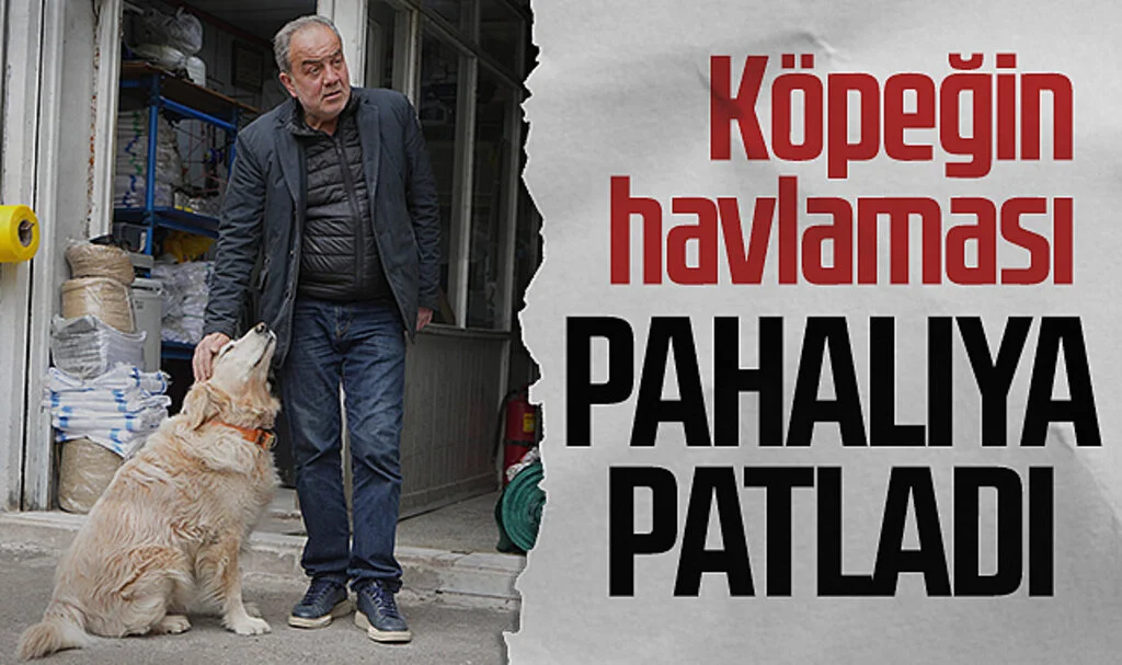 Köpeğin havlaması  sahibine pahalıya patladı 