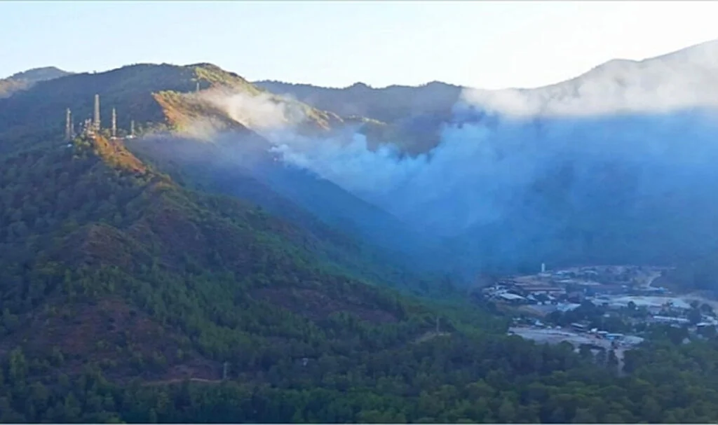 Marmaris’te ormanı yakan sanığın cezası belli oldu
