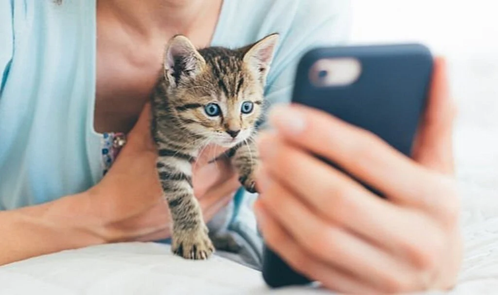 Nomofobi Nedir? Nomofobi Belirtileri Nelerdir?