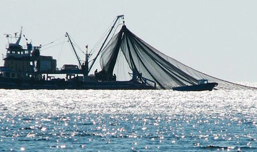 Samsun'da İç Sularda Av Yasağı 1 Nisan'da Başlıyor