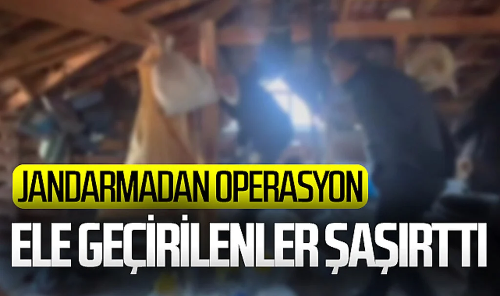 Samsun'da Jandarma Operasyonunda Silah ve Uyuşturucu Cephaneliği Ortaya Çıktı!