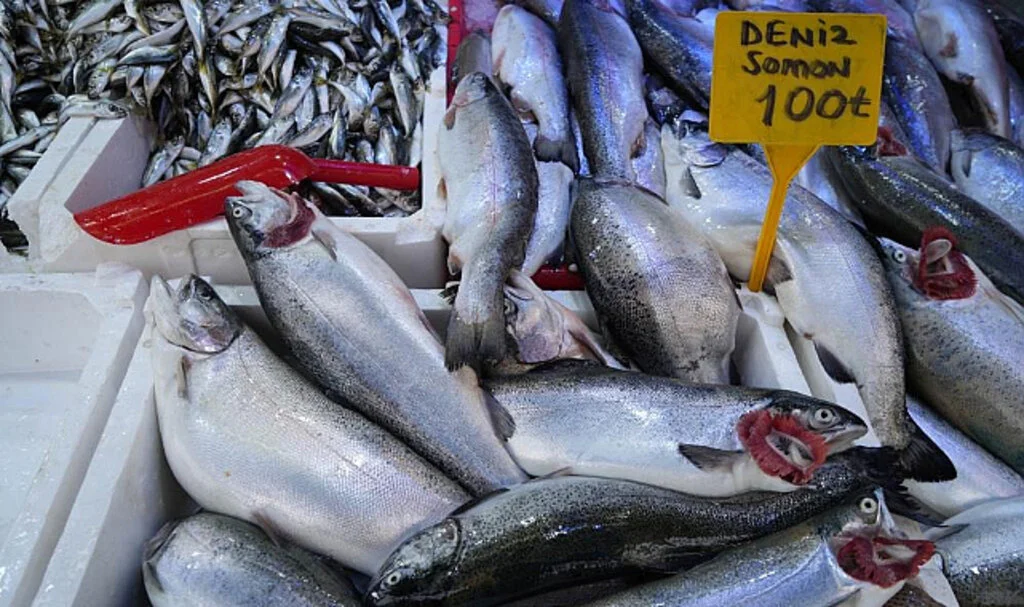 Samsun'da Somon Balığı: Uygun Fiyatıyla 3 Kişiye Doyuruyor
