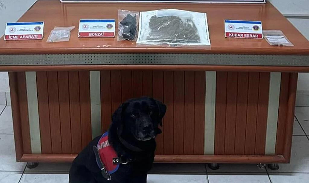 Samsun'da Uyuşturucu Operasyonunda Yakalanan Zanlı Tutuklandı