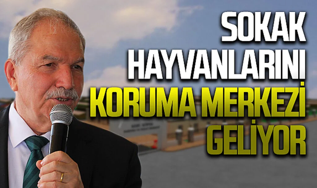 Sokak Hayvanlarını  Koruma Merkezi geliyor 