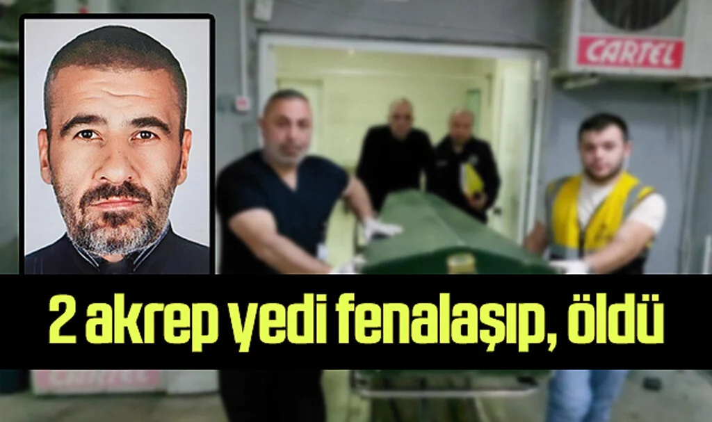 2 Akrep Yiyen Şahıs Otobüs Yolculuğunda Fenalaştı, Samsun'da Öldü