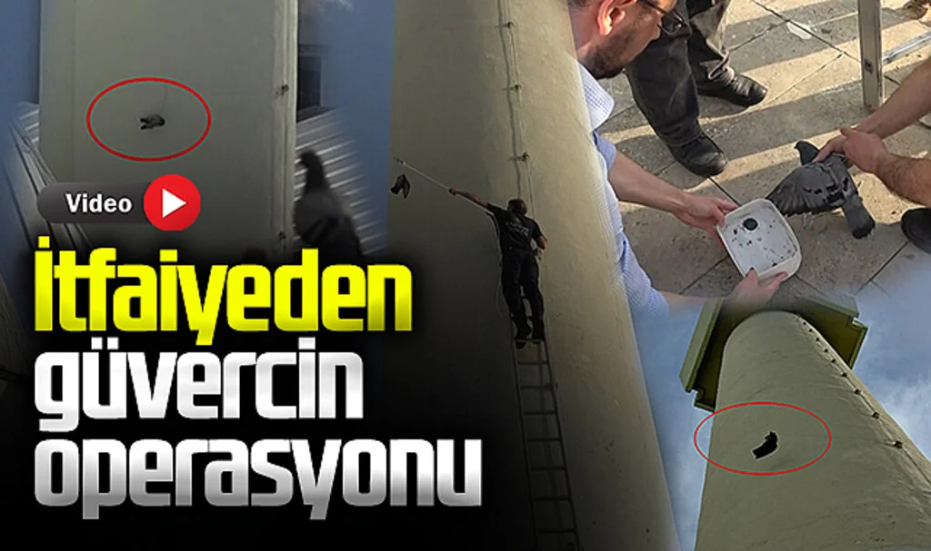 40 Metre Yükseklikte Mahsur Kalan Güvercini Kurtardı