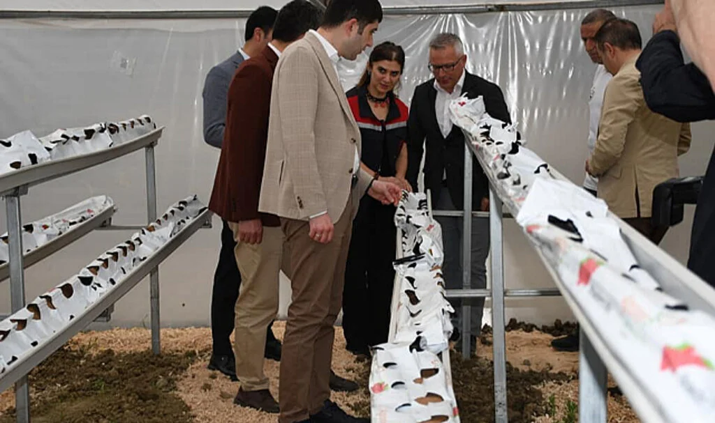 Alaçamlı kadınlar topraksız tarım yapacak