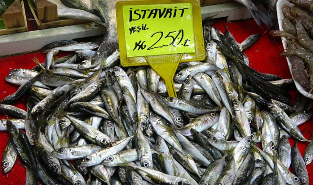 Av Yasaklarıyla Balık Fiyatları Tavan Yaptı: İstavrit Kilosu 220 TL!
