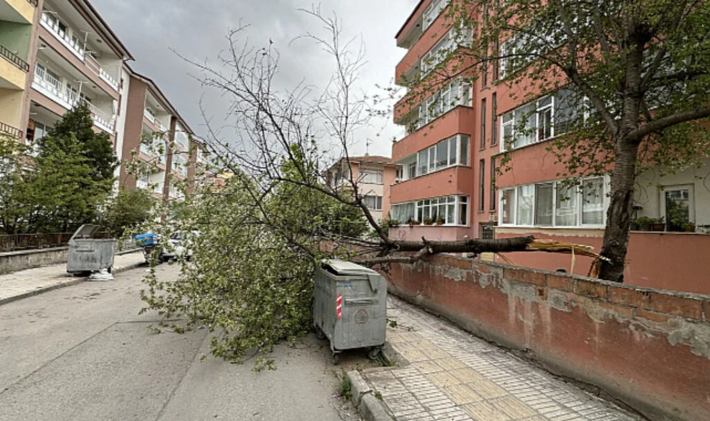Çorum'da kuvvetli rüzgarlar felakete yol açtı: binaların çatısı uçtu, ağaçlar devrildi
