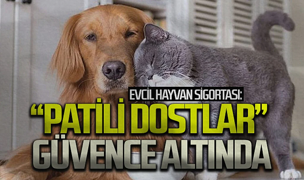 Evcil Hayvan Sigortası: "Patili Dostlar" Güvence Altında