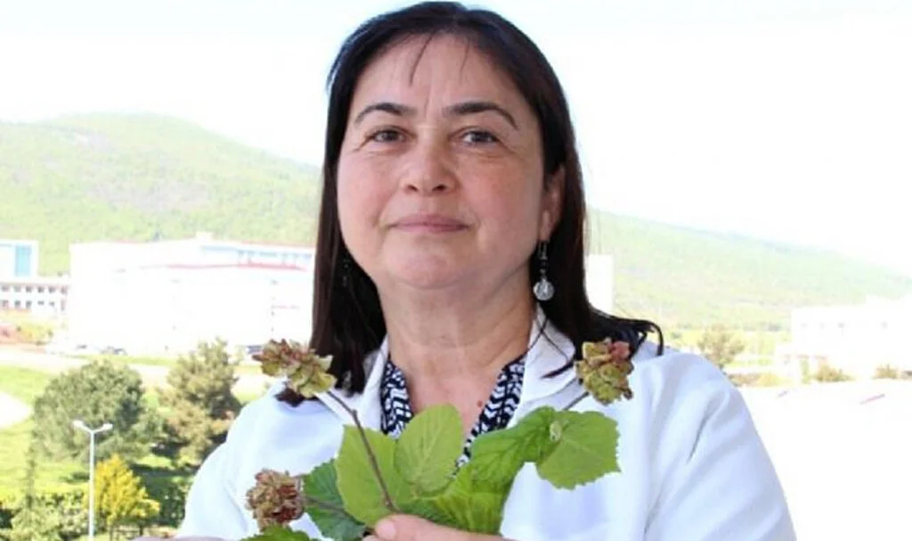 Fındık kozalak akarı ile mücadele zamanı 