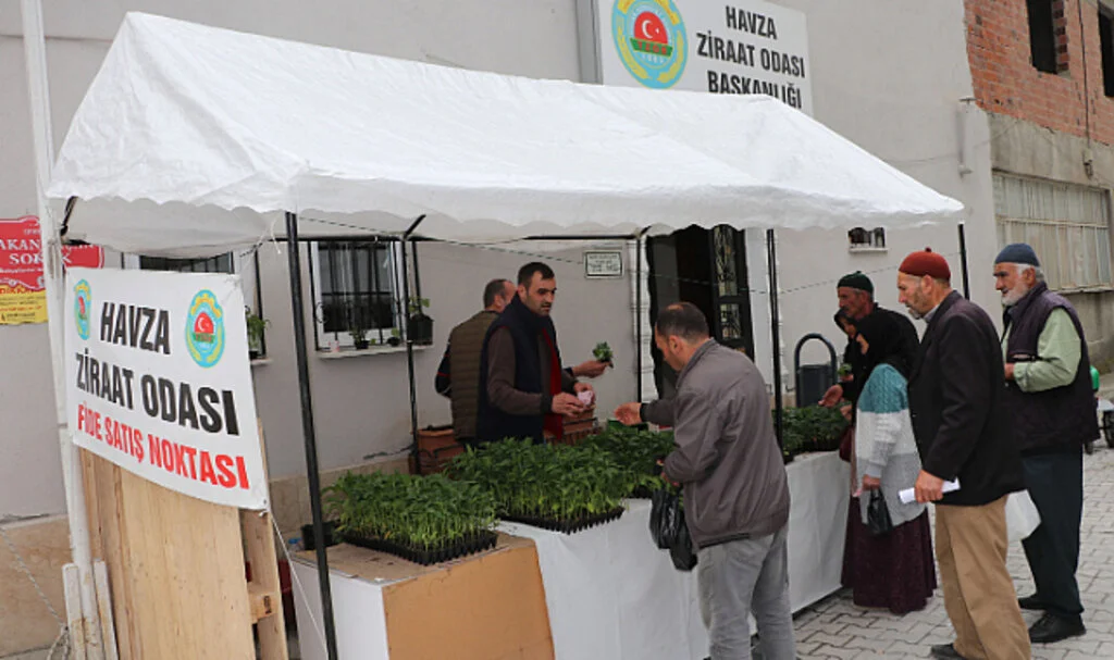 Havza Ziraat Odasında sebze fidesi satışları başladı