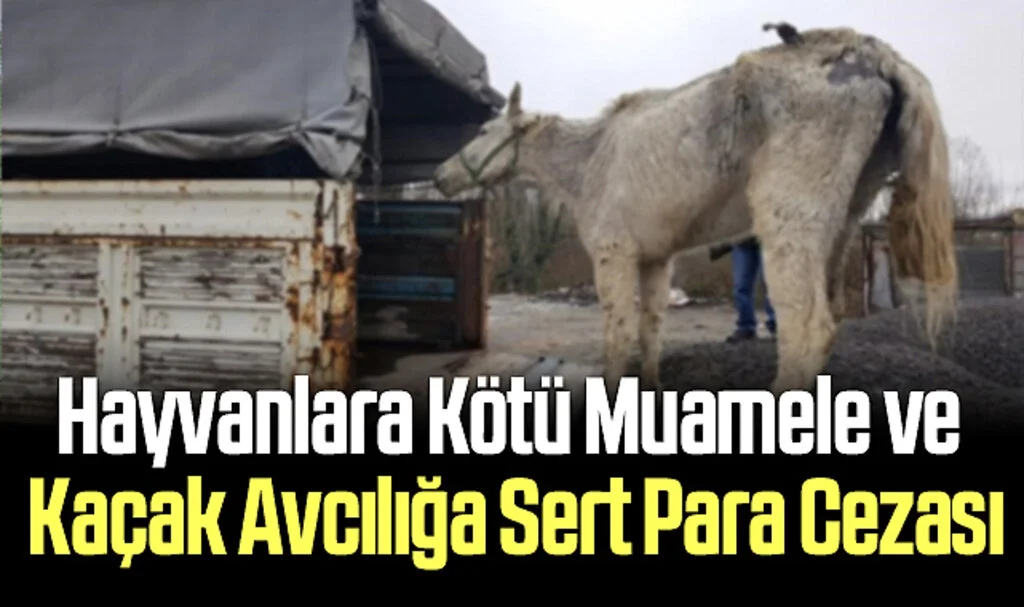 Hayvanlara Kötü Muamele ve Kaçak Avcılığa Sert Para Cezası