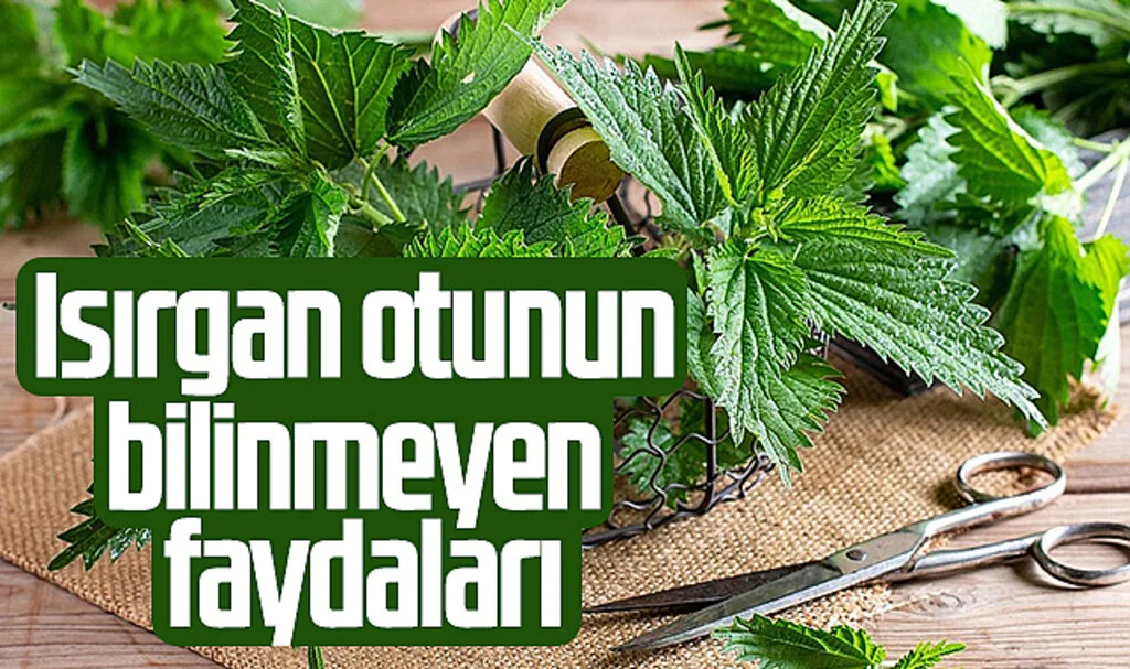 Isırgan Otunun Bilinmeyen Faydaları
