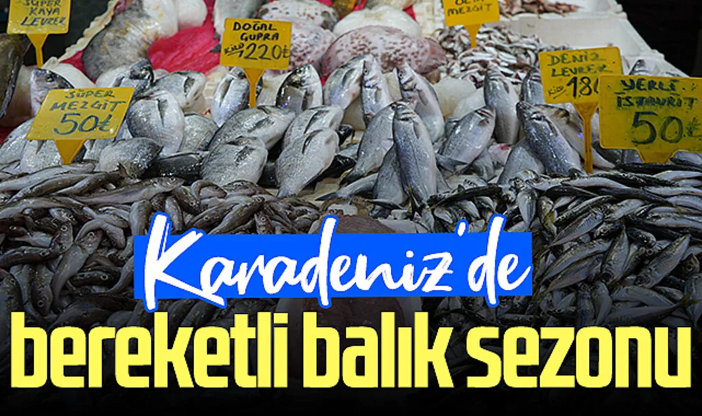 Karadeniz'de bereketli balık sezonu: Hem balıkçılar hem vatandaşlar memnun