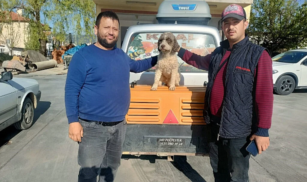 Kayıp Trüf Mantarı Avcısı Köpek 'Radar' Denizli'de Bulundu