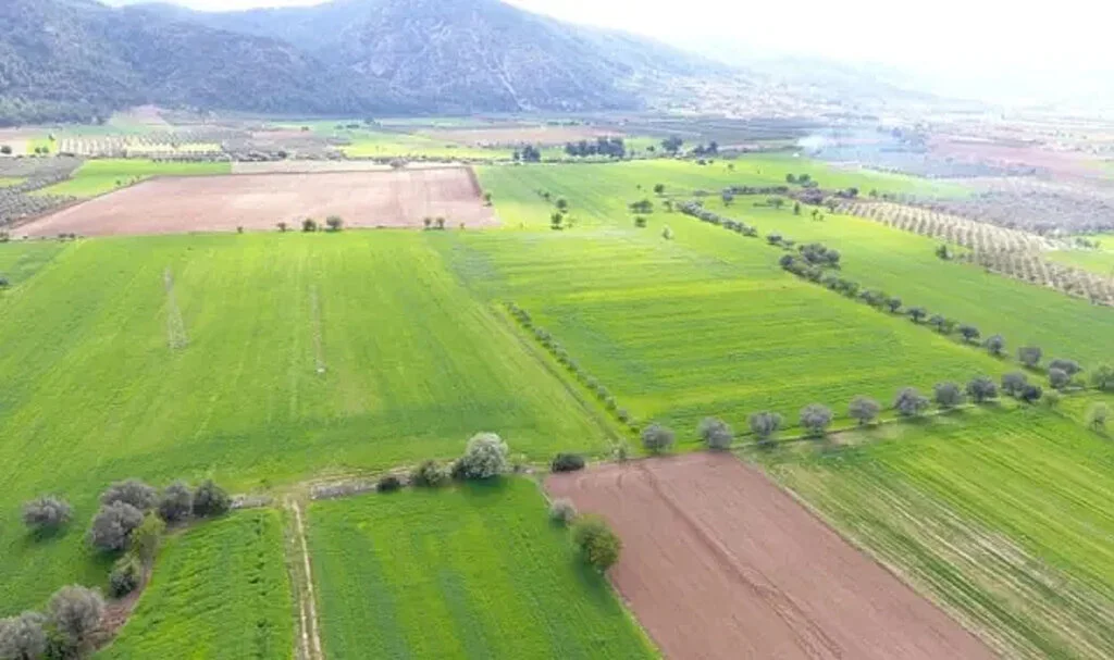 Milli Emlak'tan Taşınmaz Satılacaktır
