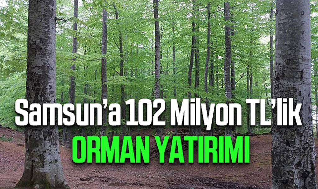 Samsun’a 102 Milyon TL’lik Orman Yatırımı
