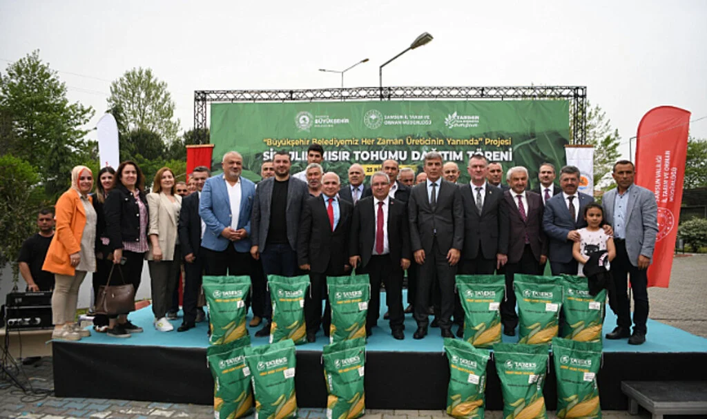Samsun Büyükşehir Belediyesi'nden Silajlık Mısır Desteği