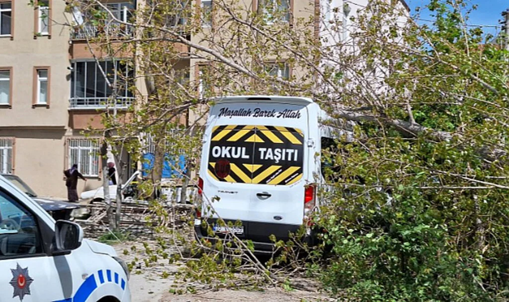 Samsun'da kesilen ağaç elektrik telini koparıp bir aracın üzerine düştü