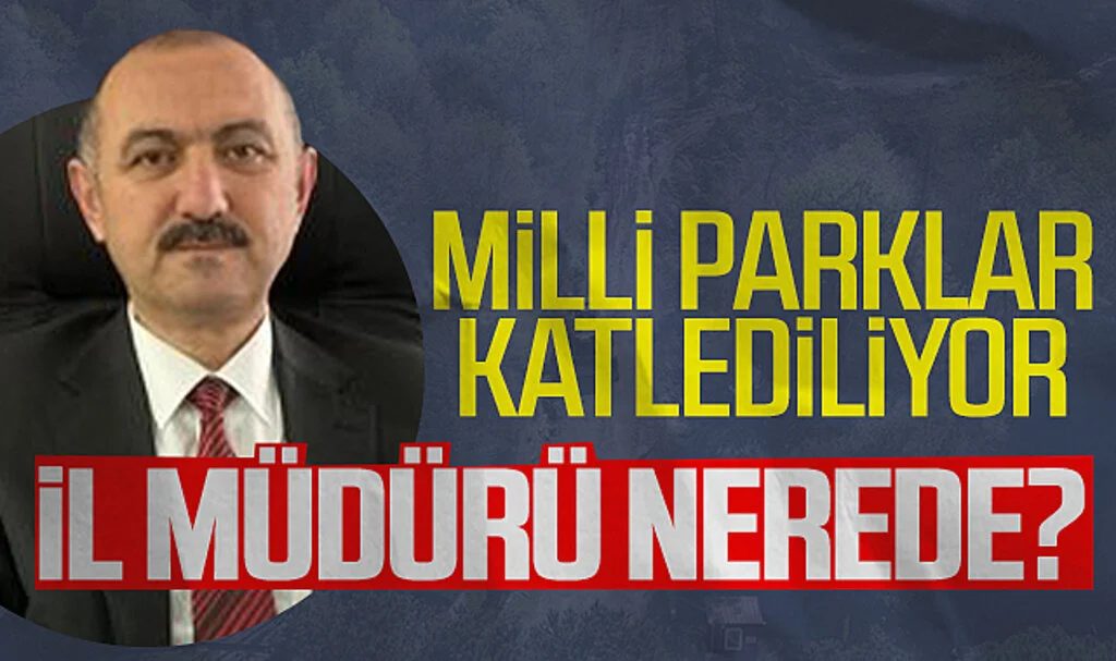 Samsun'da milli parklar katlediliyor il müdürü nerede?