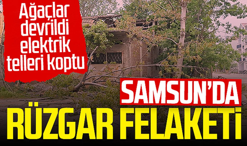 Samsun'da şiddetli rüzgarlar felakete yol açtı! Ağaçlar devrildi, elektrik telleri koptu...