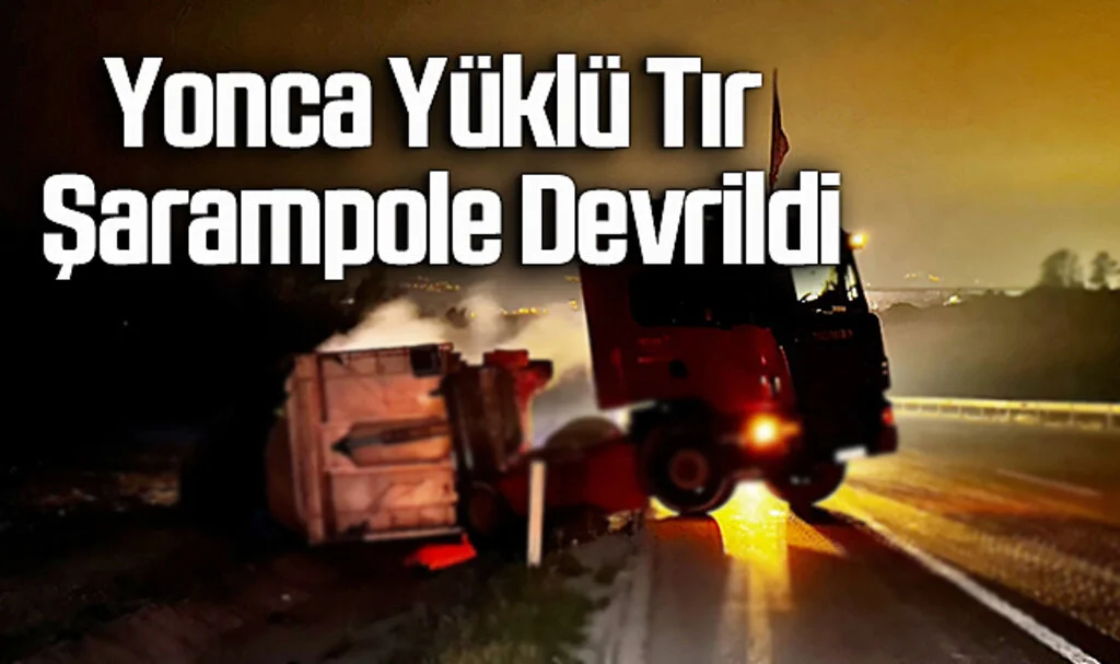 Samsun'da Yonca Yüklü Tır Şarampole Devrildi