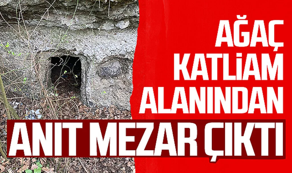 Samsun'daki ağaç katliam alanından anıt mezar çıktı