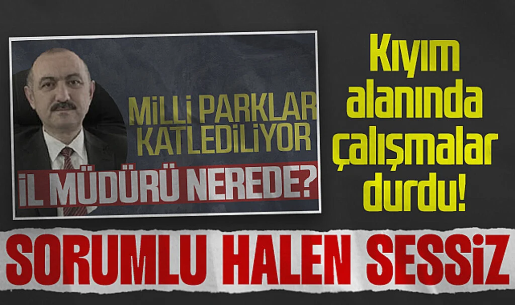 Samsun'daki doğa katliamı yapılan milli parkta çalışma durduruldu! Sorumlu halen sessiz