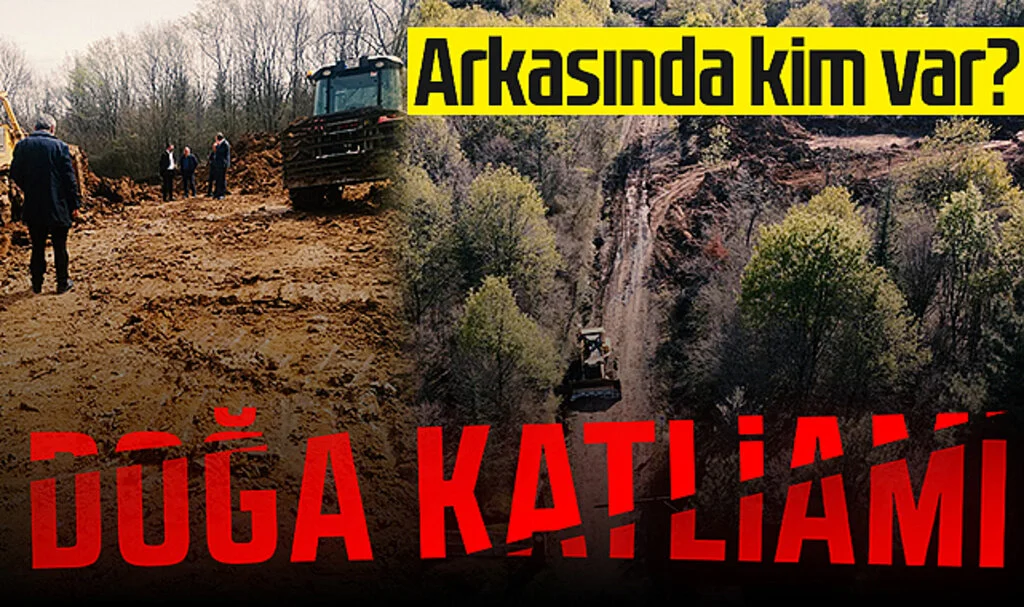 Samsun'daki doğa katliamının arkasında kimler var?