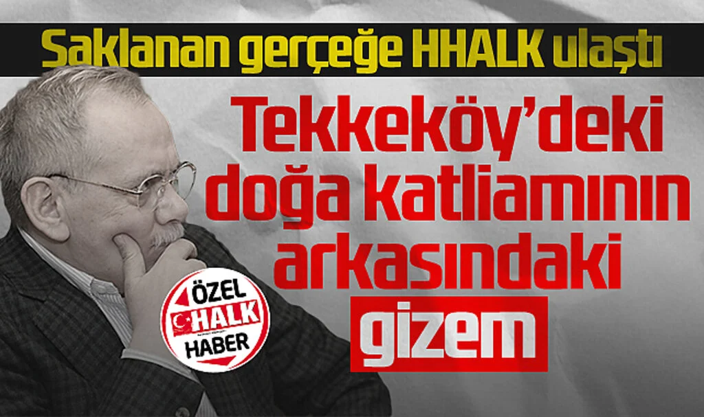 Samsun'daki doğa katliamının arkasındaki gerçeğe Hedef Halk ulaştı! 