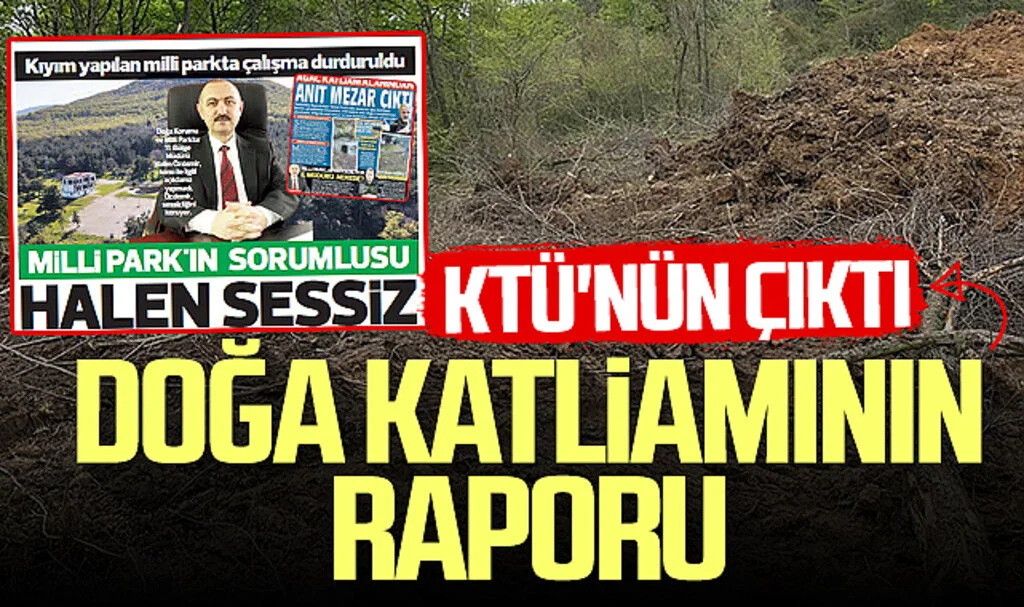 Samsun'daki doğa katliamının raporu KTÜ'nün çıktı