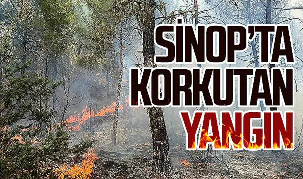 Sinop'ta Korkutan Orman Yangını