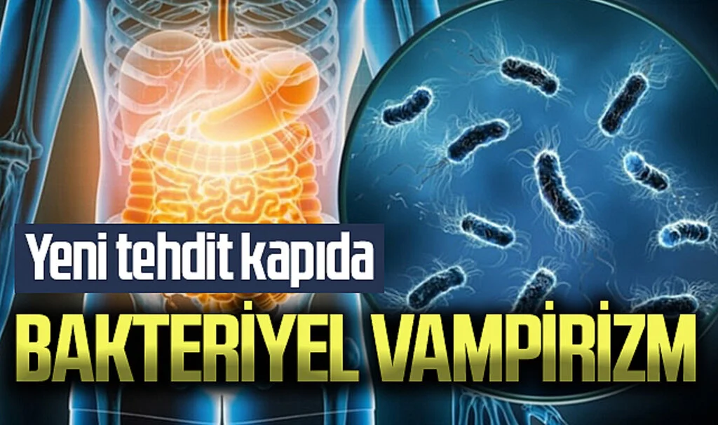 Vampir gibi kandan beslenen ölümcül bakteriler endişe yaratıyor