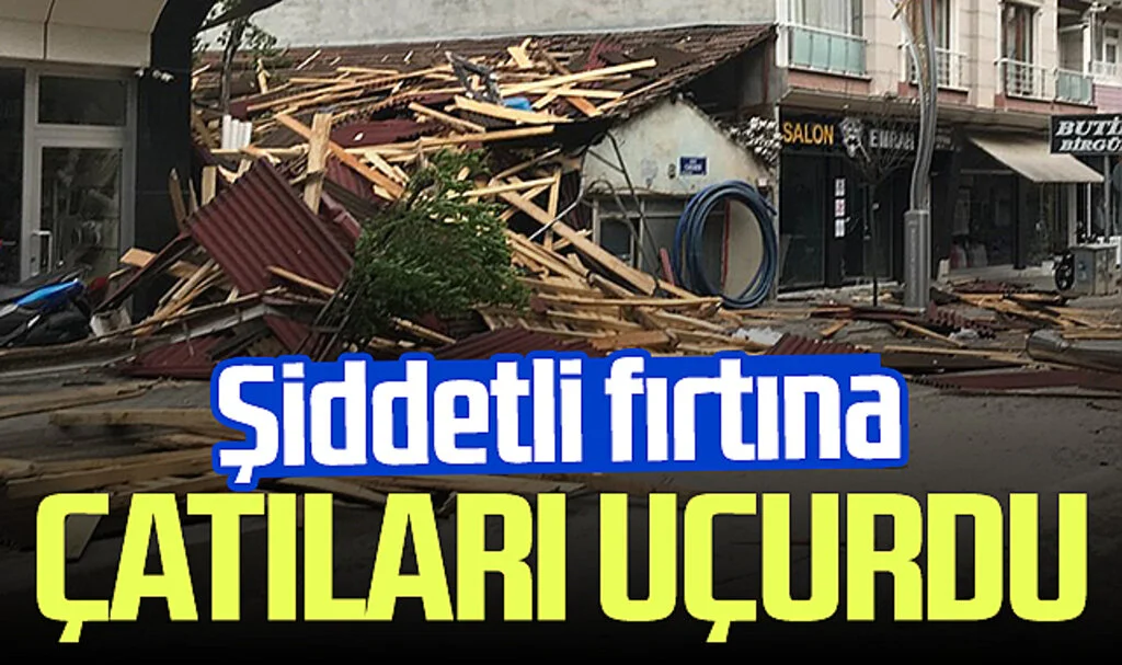 Vezirköprü'de şiddetli fırtına: Çatılar uçtu, ağaçlar devrildi