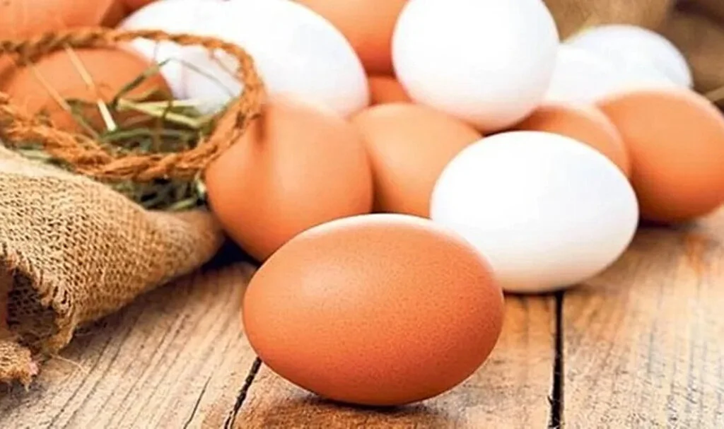 Yumurta Fiyatları 'Mayıs Çukuru'na Düştü: Sektörde Denge Arayışı Devam Ediyor