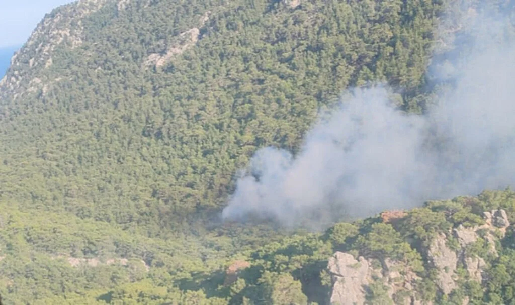 Antalya Konyaaltı'da orman yangını
