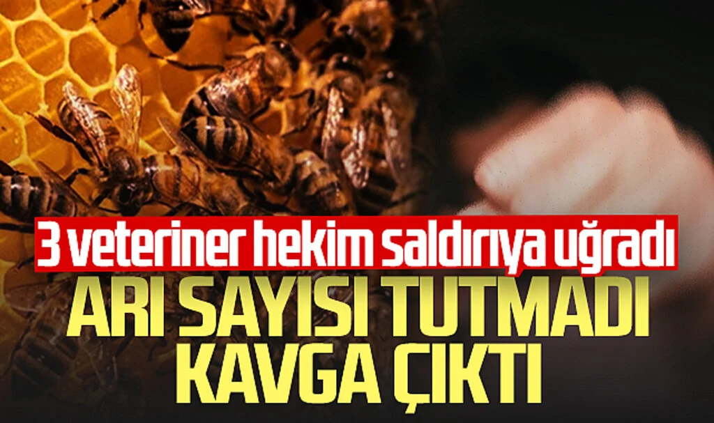 Arı sayısı tutmadı, kavga çıktı! Samsun'da 3 veteriner hekim saldırıya uğradı