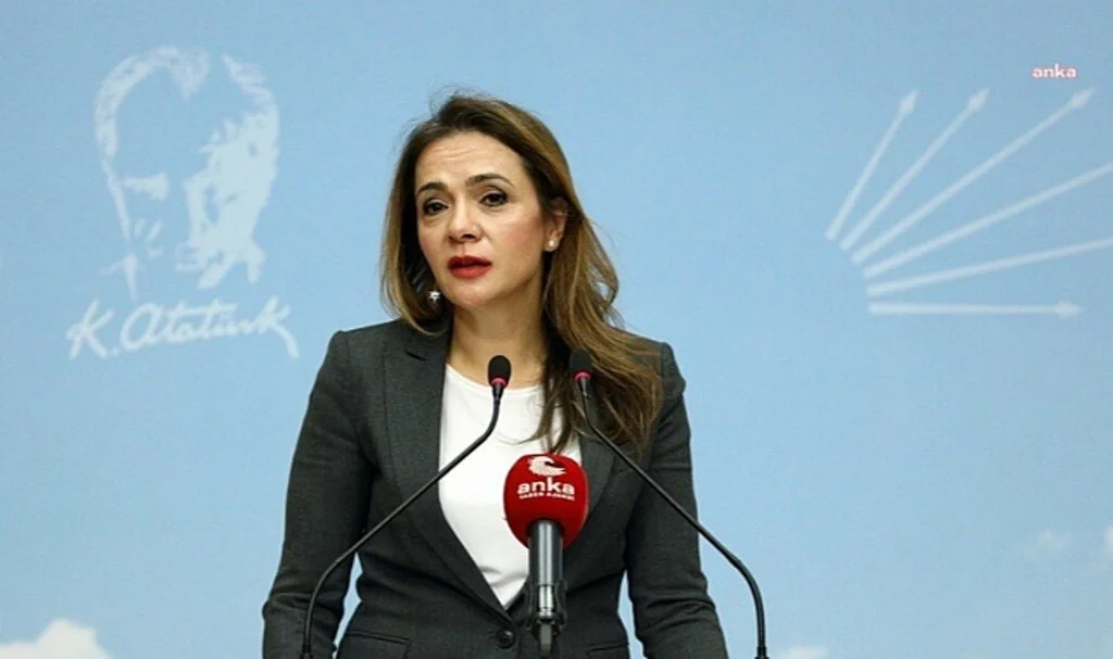CHP'li Gamze Akkuş İlgezdi: "Öğretmen Atamalarında Sorunlar Var"